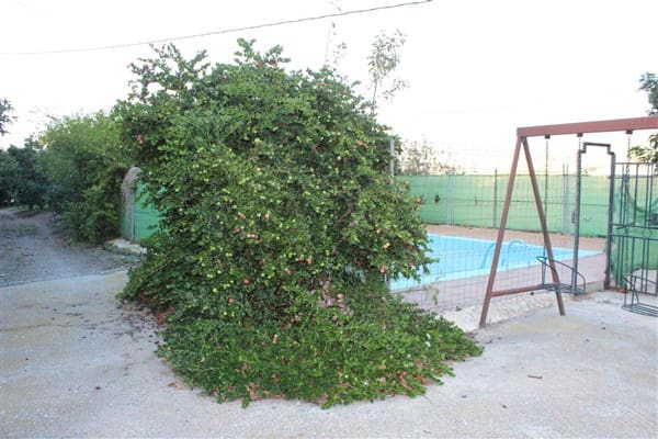 7 bedroom Finca/Country House for sale in Motril with pool garage - € 620,000 (Ref: 9511291)