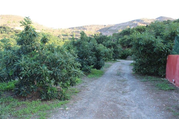 7 bedroom Finca/Country House for sale in Motril with pool garage - € 620,000 (Ref: 9511291)