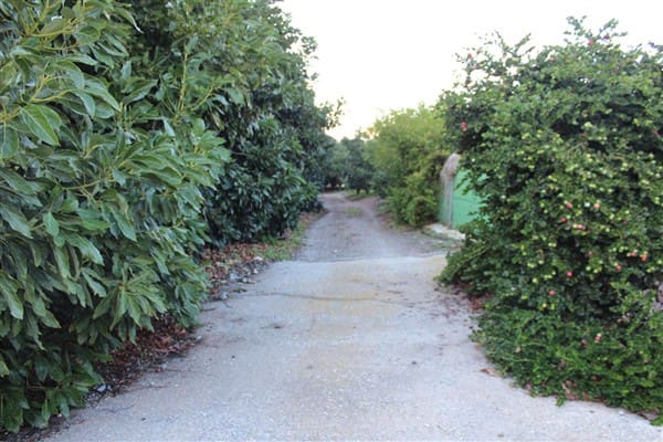 7 bedroom Finca/Country House for sale in Motril with pool garage - € 620,000 (Ref: 9511291)