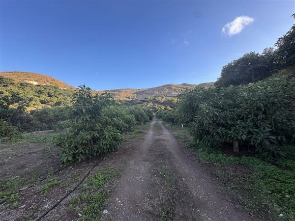 7 bedroom Finca/Country House for sale in Motril with pool garage - € 620,000 (Ref: 9511291)