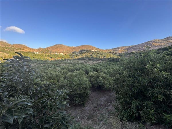 7 bedroom Finca/Country House for sale in Motril with pool garage - € 620,000 (Ref: 9511291)