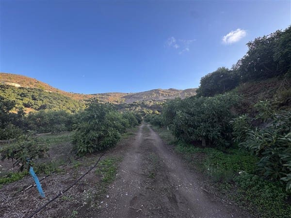 7 bedroom Finca/Country House for sale in Motril with pool garage - € 620,000 (Ref: 9511291)