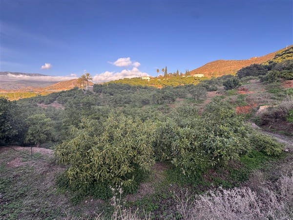 7 bedroom Finca/Country House for sale in Motril with pool garage - € 620,000 (Ref: 9511291)