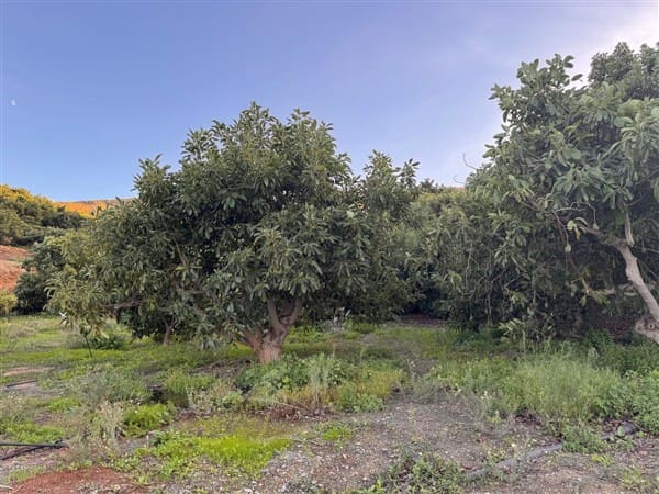 7 bedroom Finca/Country House for sale in Motril with pool garage - € 620,000 (Ref: 9511291)