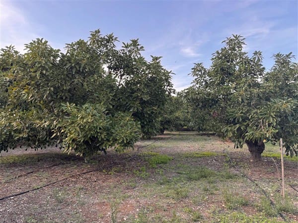 7 bedroom Finca/Country House for sale in Motril with pool garage - € 620,000 (Ref: 9511291)