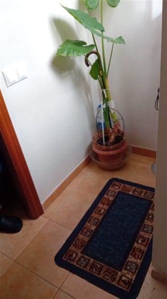 3 soveværelse Byhus til salg i La Peza - € 80.000 (Ref: 9598097)