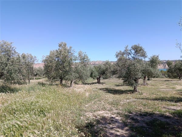 1 bedroom Finca/Country House for sale in Freila - € 370,000 (Ref: 9809887)