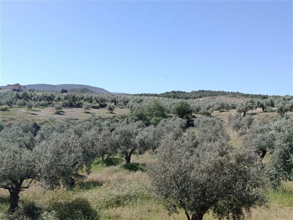 1 bedroom Finca/Country House for sale in Freila - € 370,000 (Ref: 9809887)
