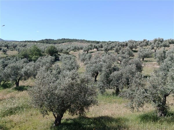 1 bedroom Finca/Country House for sale in Freila - € 370,000 (Ref: 9809887)