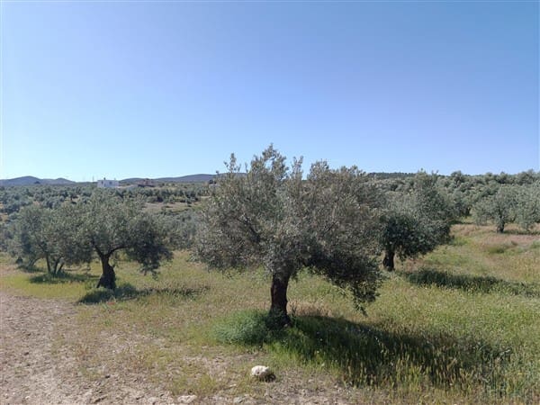 1 bedroom Finca/Country House for sale in Freila - € 370,000 (Ref: 9809887)