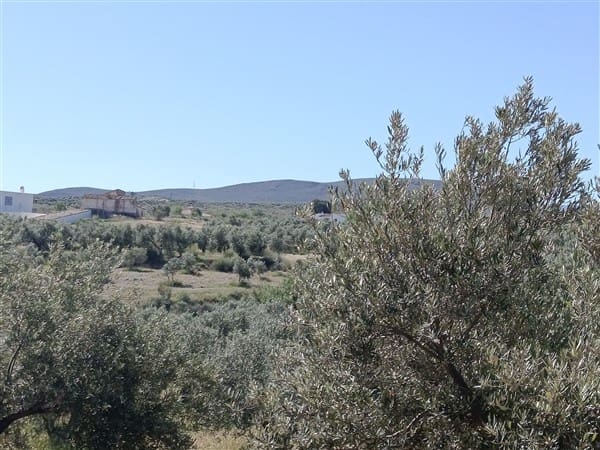 1 bedroom Finca/Country House for sale in Freila - € 370,000 (Ref: 9809887)