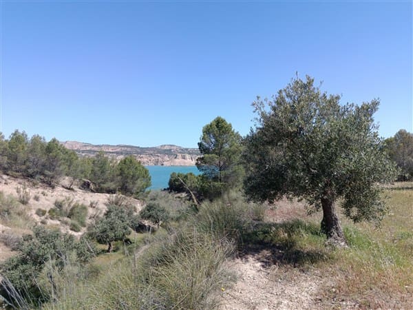 1 bedroom Finca/Country House for sale in Freila - € 370,000 (Ref: 9809887)