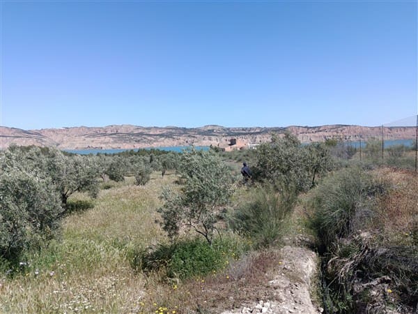 1 bedroom Finca/Country House for sale in Freila - € 370,000 (Ref: 9809887)