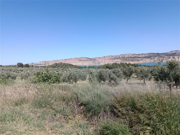 1 bedroom Finca/Country House for sale in Freila - € 370,000 (Ref: 9809887)