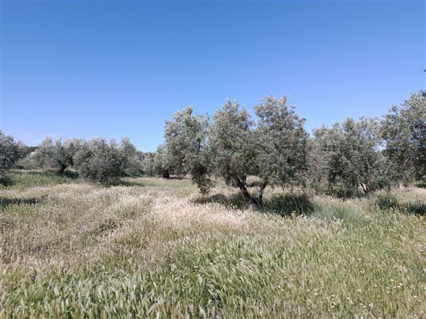 1 bedroom Finca/Country House for sale in Freila - € 370,000 (Ref: 9809887)