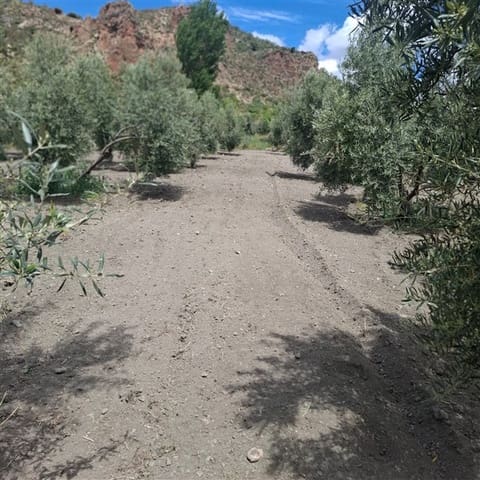 Building Plot for sale in La Peza - € 25,000 (Ref: 9826097)