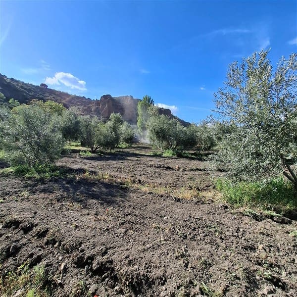 Building Plot for sale in La Peza - € 25,000 (Ref: 9826097)
