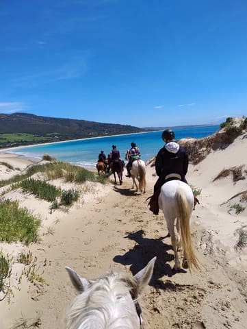 6 chambre Finca/Maison de Campagne à vendre à Tarifa avec piscine garage - 4 500 000 € (Ref: 8637913)