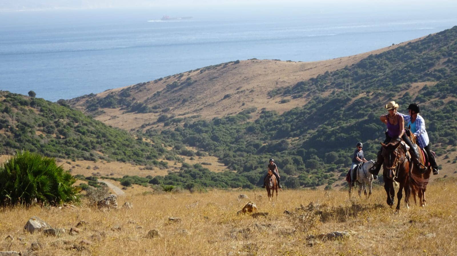 6 soveværelse Finca/Landehus til salg i Tarifa med swimmingpool garage - € 4.500.000 (Ref: 8637913)