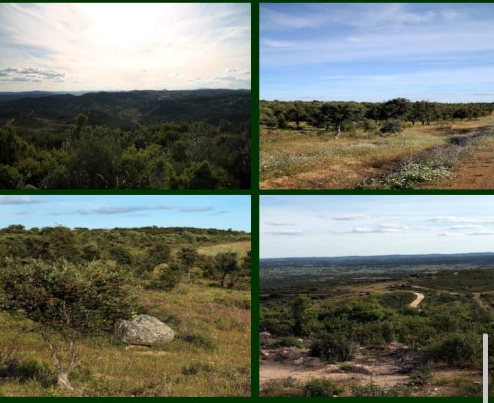 Finca/Landehus til salg i Sevilla by - € 38.000.000 (Ref: 8647568)