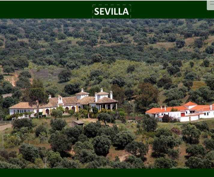 Finca/Landehus til salg i Sevilla by - € 38.000.000 (Ref: 8647568)