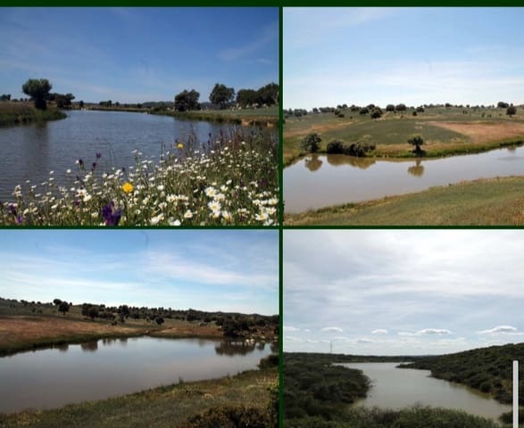 Finca/Landehus til salg i Sevilla by - € 38.000.000 (Ref: 8647568)