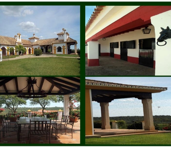 Finca/Landehus til salg i Sevilla by - € 38.000.000 (Ref: 8647568)