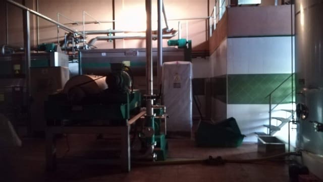 Finca/Landehus til salg i Jaén by - € 17.500.000 (Ref: 8735091)