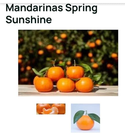 Finca/Casa di Campagna in vendita in Murcia città - 9.800.000 € (Rif: 8970983)