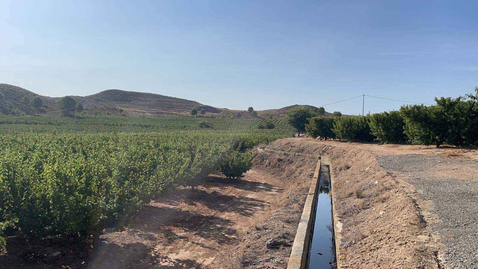 Finca/Casa di Campagna in vendita in Murcia citta - 9.800.000 € (Rif: 8970983)