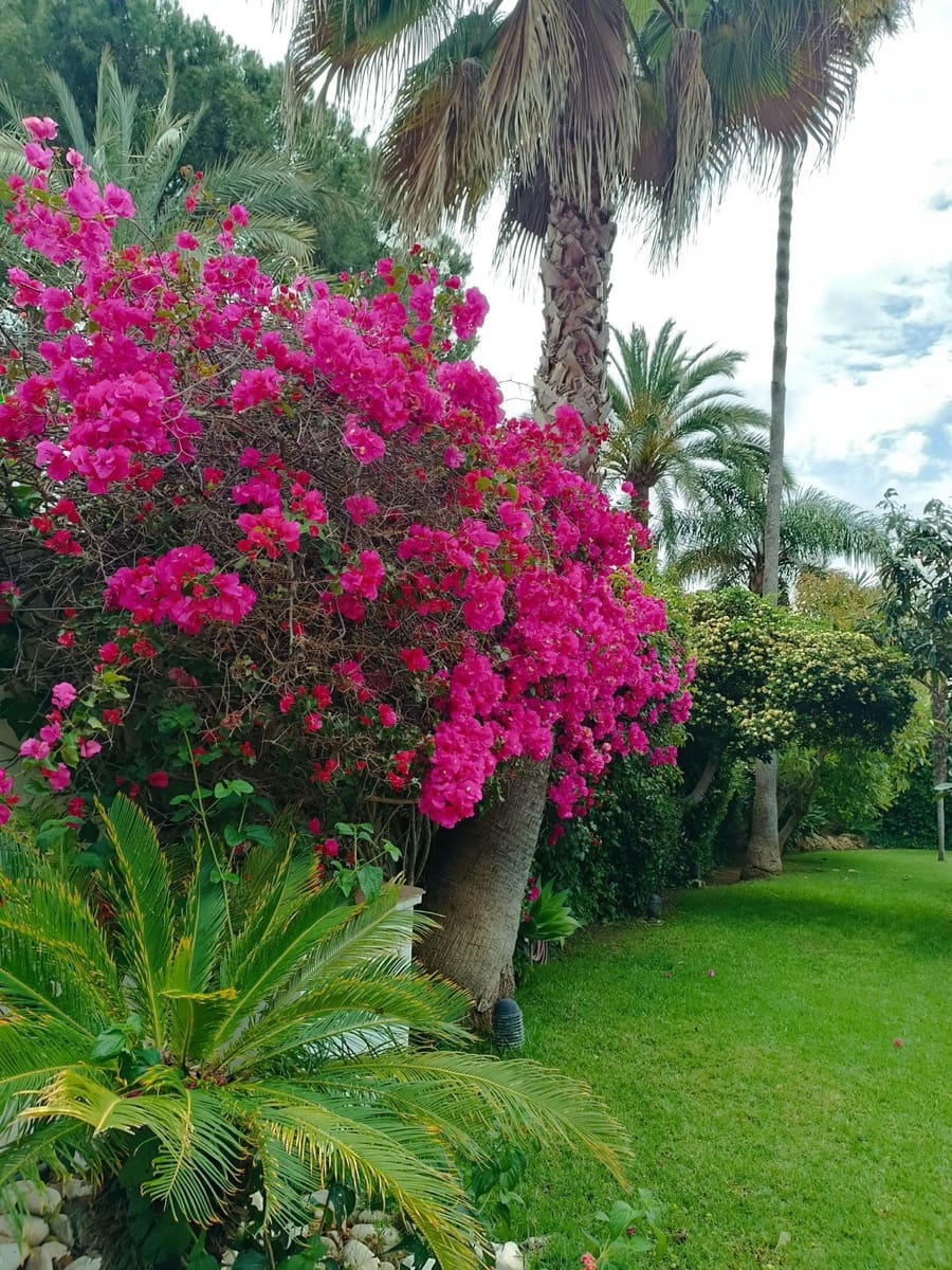 6 soverom Villa til salgs i Marbella med svømmebasseng - € 3 900 000 (Ref: 8975486)