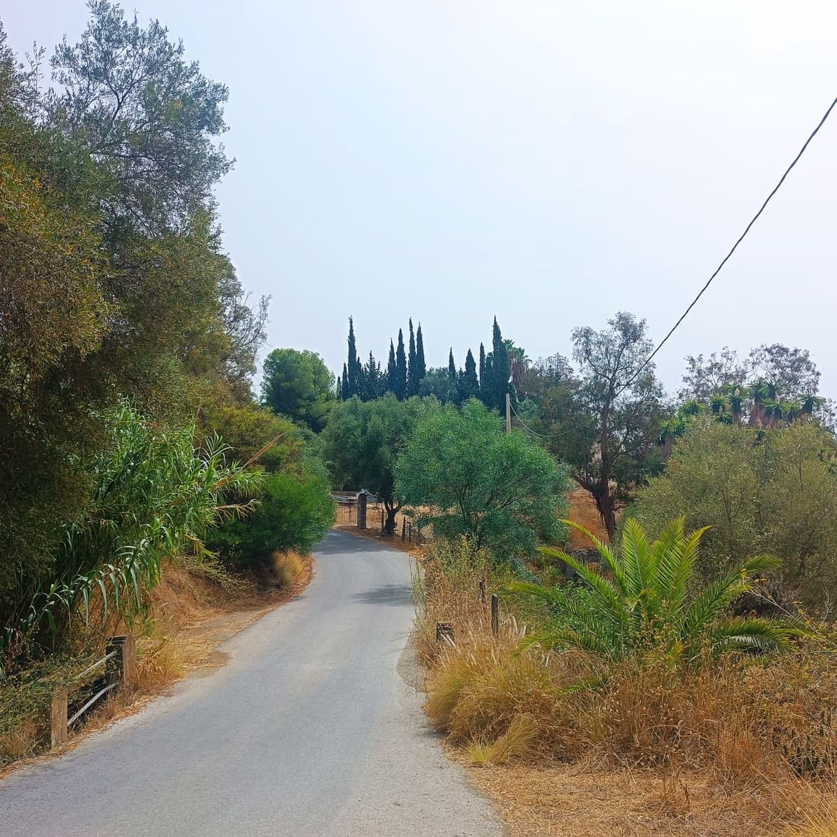 Rakentamaton maa myytävänä paikassa Campo Mijas - 568 000 € (Ref: 9197147)