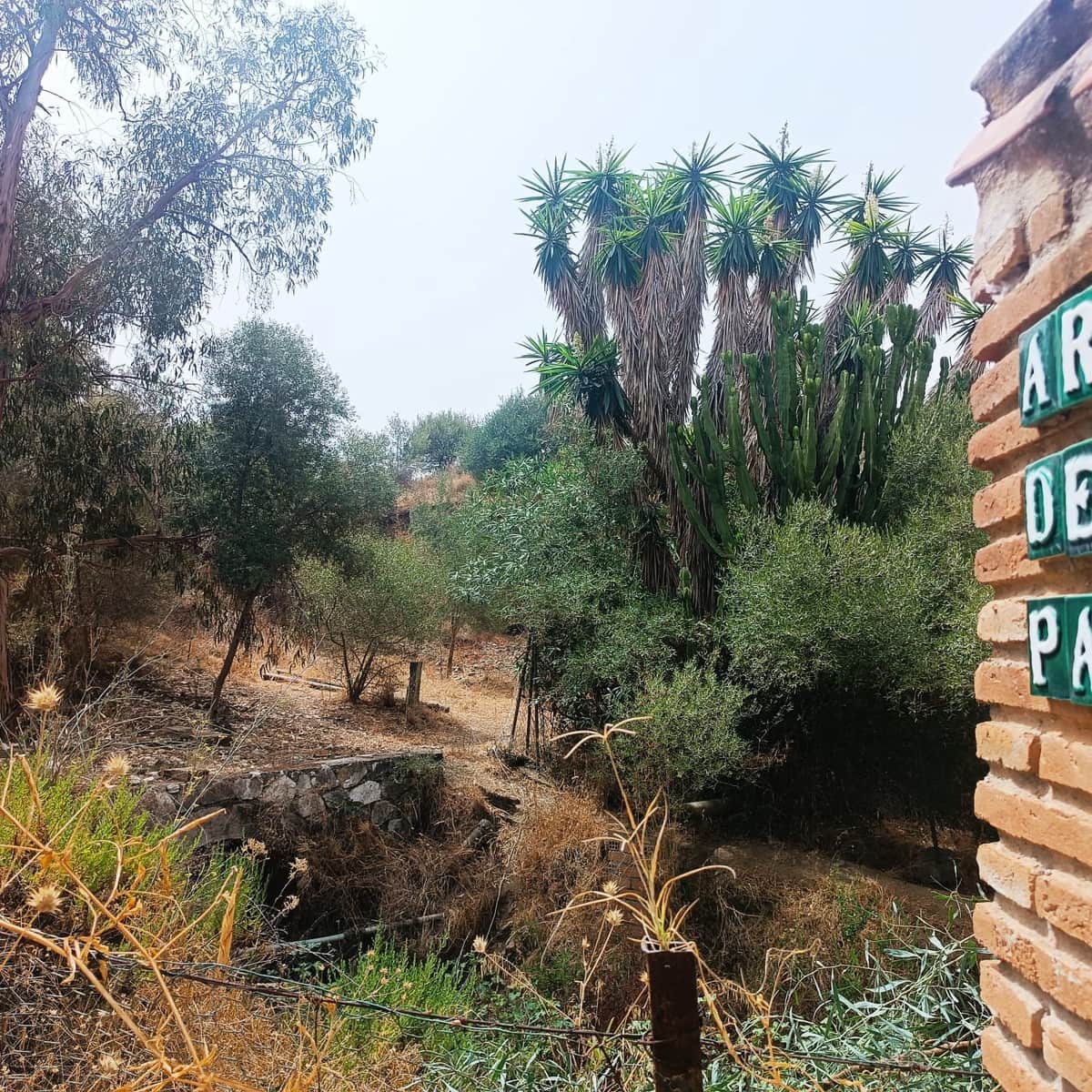 Rakentamaton maa myytävänä paikassa Campo Mijas - 568 000 € (Ref: 9197147)