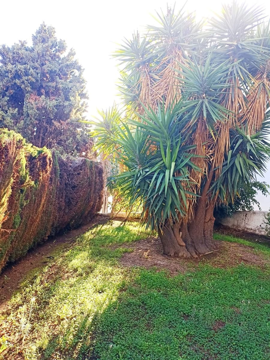 1 bedroom Apartment for sale in Mijas Golf with pool - € 260,000 (Ref: 9521609)