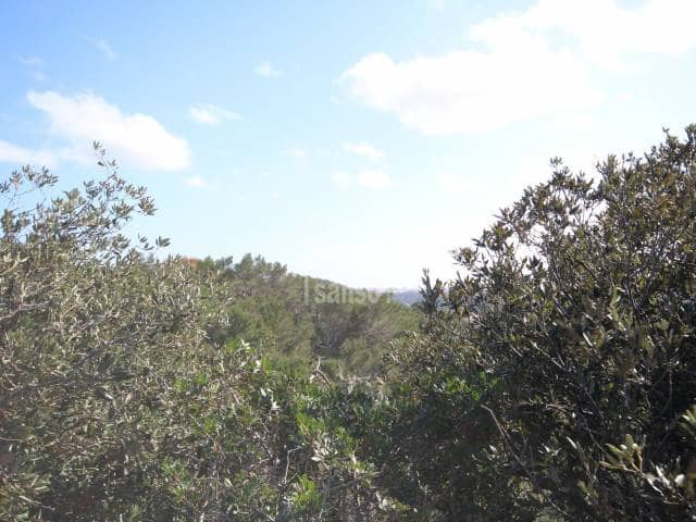 3 slaapkamer Villa te koop in Mahon / Mao met zwembad - € 340.000 (Ref: 5115685)