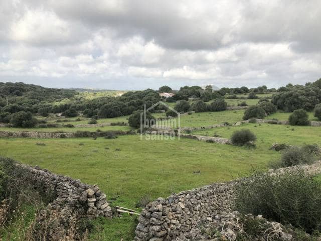 Penthouse til salg i Alayor / Alaior - € 320.000 (Ref: 6699251)