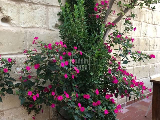 Ático de 5 habitaciones en Mahón / Maó en venta - 2.900.000 € (Ref: 8945289)