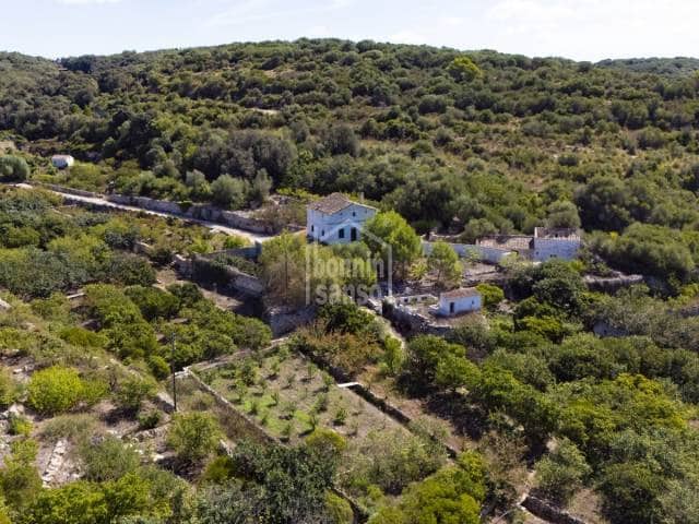 4 camera da letto Attico in vendita in Alayor / Alaior - 1.595.000 € (Rif: 9271411)