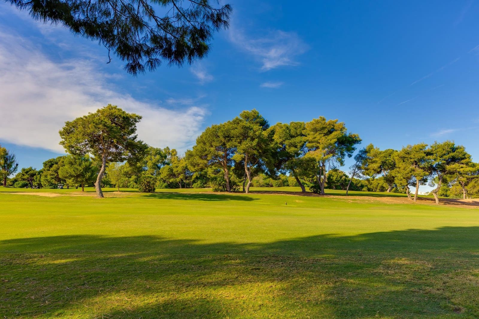 1 quarto Apartamento para venda em Orihuela Costa com piscina - 129 999 € (Ref: 10183063)