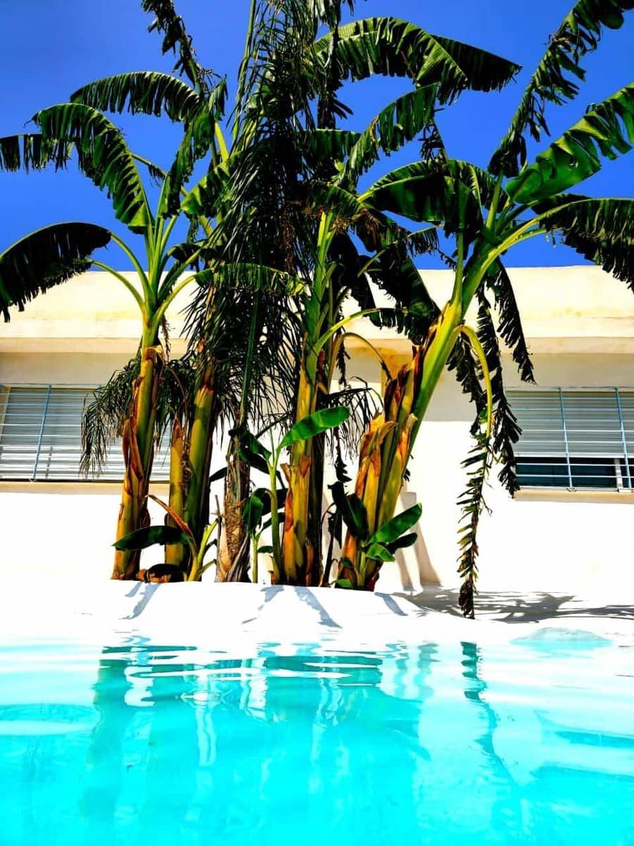 8 sypialnia Finka/Dom wiejski na sprzedaż w Zafra z basenem garażem - 482 670 € (Ref: 8239647)