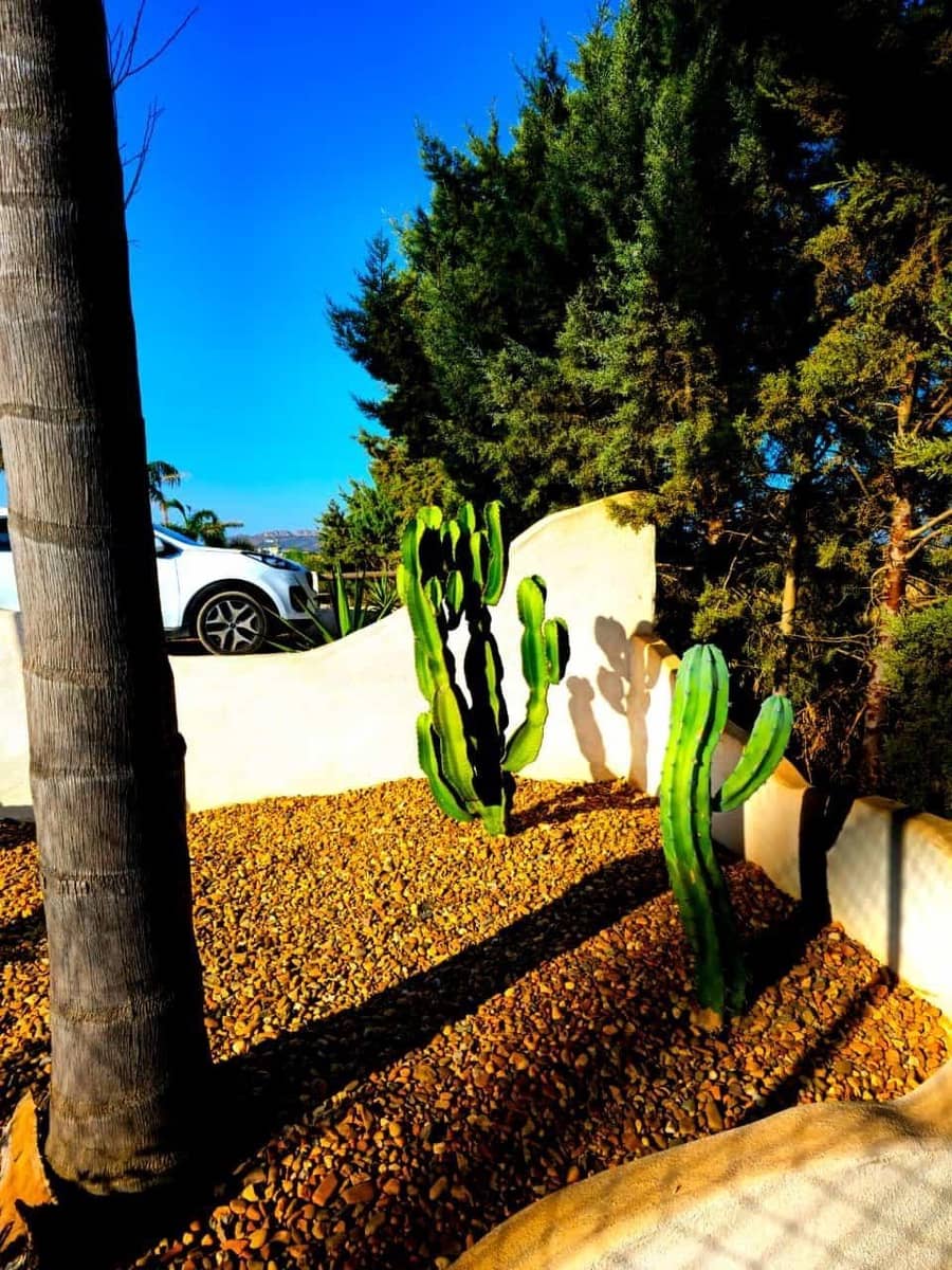 8 sypialnia Finka/Dom wiejski na sprzedaż w Zafra z basenem garażem - 482 670 € (Ref: 8239647)