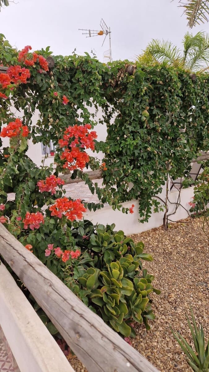 8 sypialnia Finka/Dom wiejski na sprzedaż w Zafra z basenem garażem - 482 670 € (Ref: 8239647)