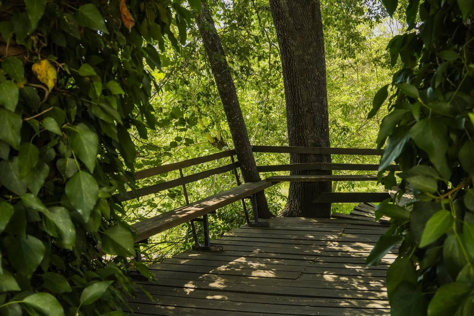 24 soveværelse Hotel til salg i Galaroza med swimmingpool garage - € 1.200.000 (Ref: 8239651)