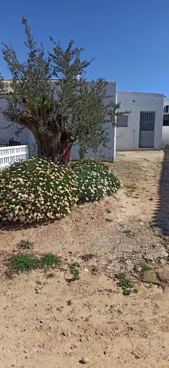 Grunde uden byggetilladelser til salg i Fuentes de Andalucia - € 1.270.000 (Ref: 9829349)