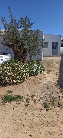 Grunde uden byggetilladelser til salg i Fuentes de Andalucía - € 1.270.000 (Ref: 9829349)