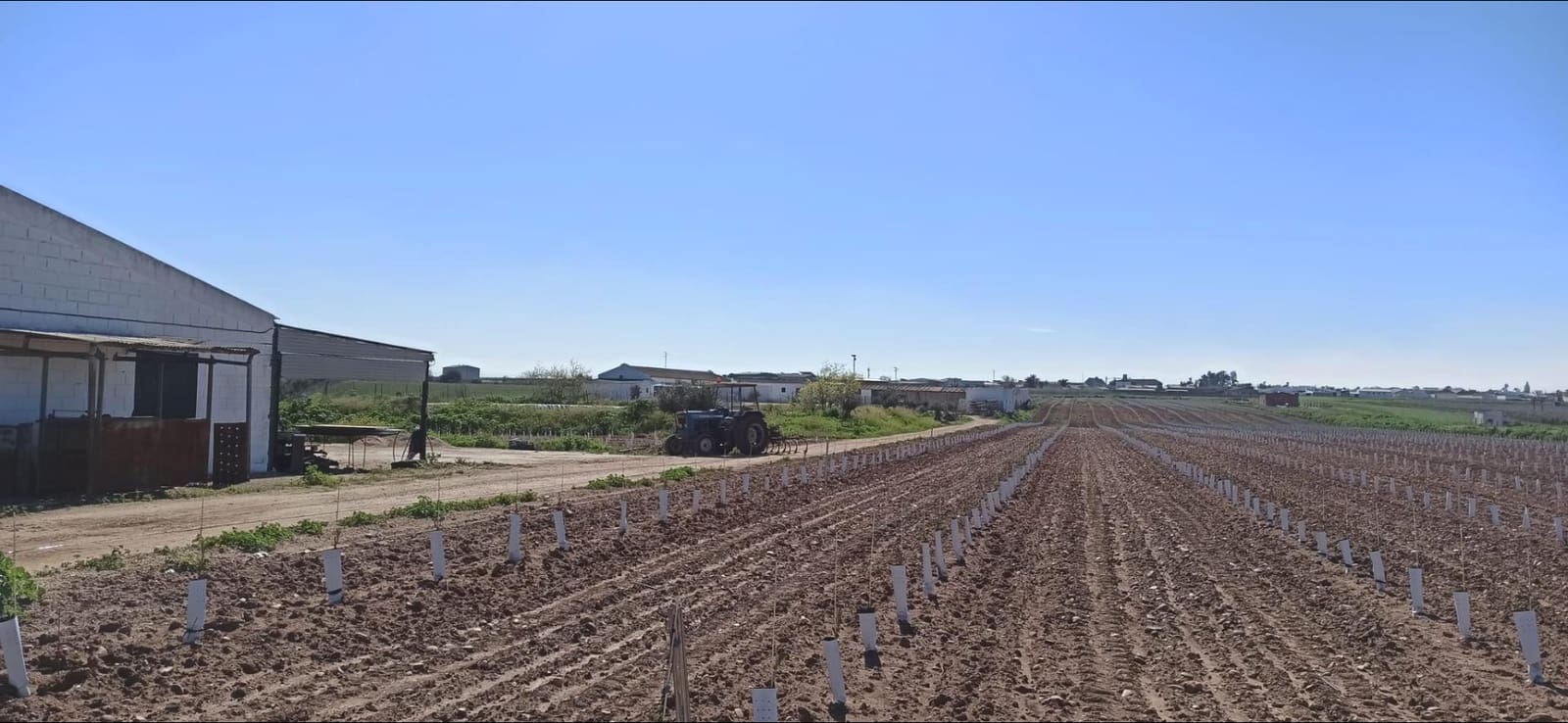 Grunde uden byggetilladelser til salg i Fuentes de Andalucia - € 1.270.000 (Ref: 9829349)