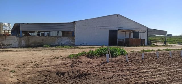 Grunde uden byggetilladelser til salg i Fuentes de Andalucía - € 1.270.000 (Ref: 9829349)