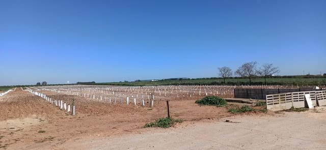 Grunde uden byggetilladelser til salg i Fuentes de Andalucía - € 1.270.000 (Ref: 9829349)