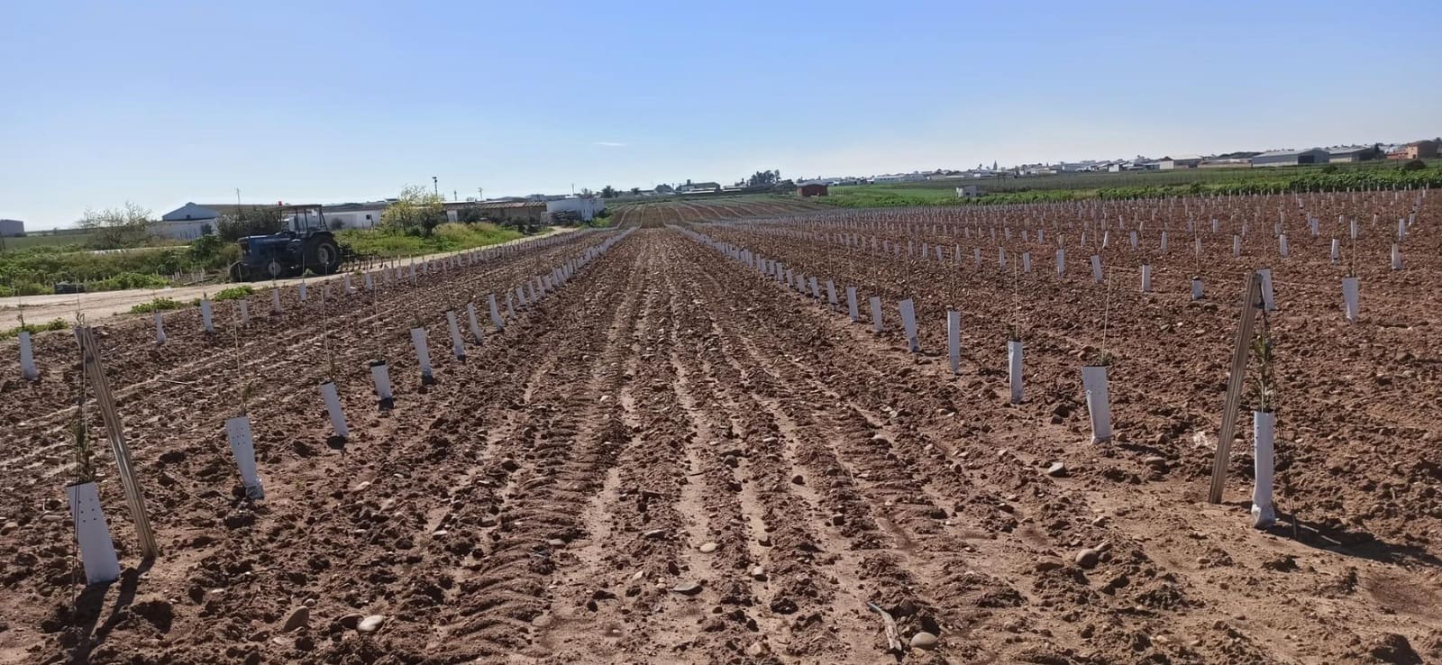 Grunde uden byggetilladelser til salg i Fuentes de Andalucia - € 1.270.000 (Ref: 9829349)