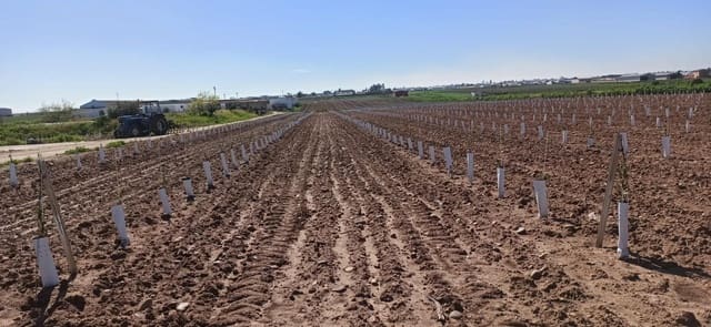 Grunde uden byggetilladelser til salg i Fuentes de Andalucía - € 1.270.000 (Ref: 9829349)